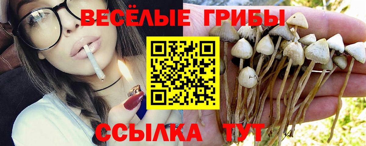 Сорочинск  Вход с VPN  ГАШ  Купить наркоту  АМФ   Меф МЯУ МЯУ   Марихуана  ЭКСТАЗИ 