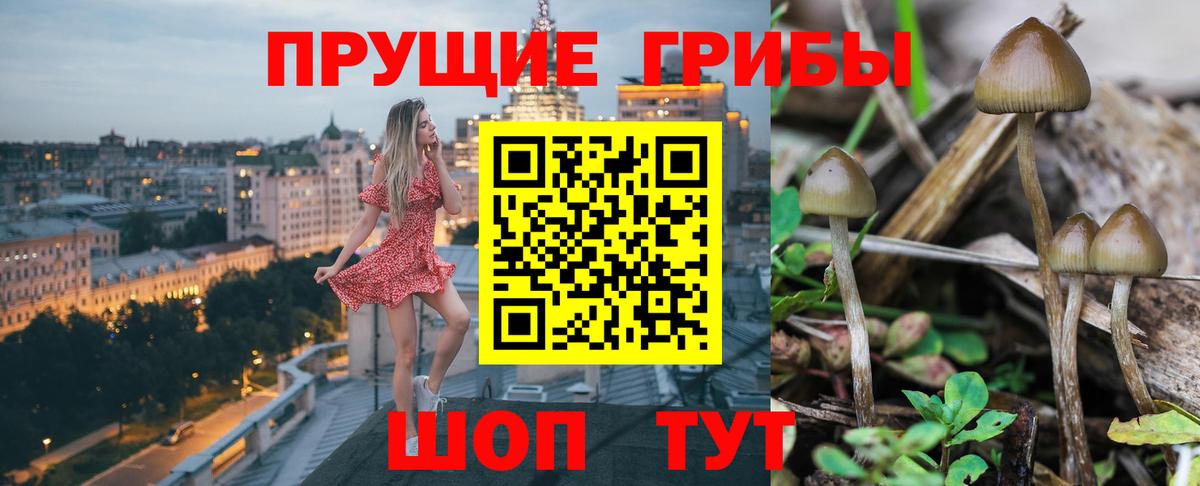 Галлюциногенные грибы Cubensis  Псилоцибиновые грибы GOLDEN TEACHER  Вход с VPN  Сорочинск 