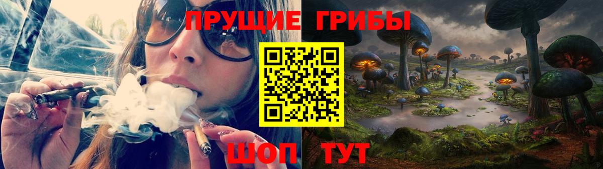 Псилоцибиновые грибы Psilocybine cubensis Сорочинск